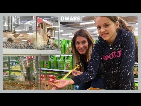 Video: Hoe Maak Je Een Knaagdierwiel?