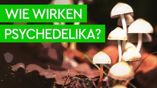 Dein Gehirn auf Psychedelika | Wissenschaftlich erklärt