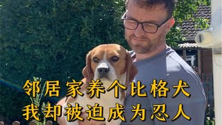 邻居家养个比格犬我却被迫成为忍人