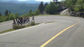 TopCats at Forrest Gump Curve