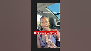 Traveling Overseas For a Stranger? Bird Brain Behavior
