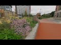 VR180° Sheffield Castlegate in bloom.