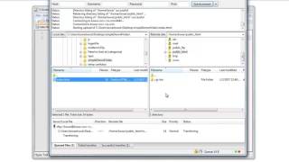 How to FTP /Publish Online