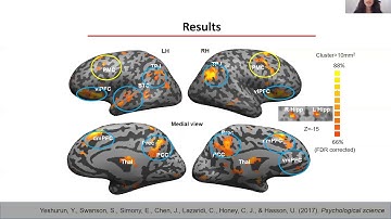 Brain mechanisms underlying (un)shared understanding of naturalistic stimuli