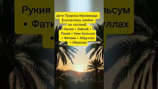 Дети Пророка саллаллоҳу алайҳи васаллам 🌴🌴🌴 #hadith #напоминание #книгасудей #кино