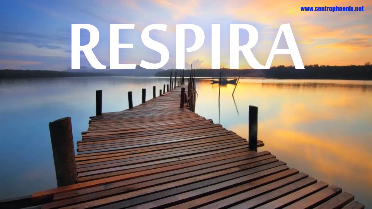 ESERCIZIO DI CONSAPEVOLEZZA DEL RESPIRO  - MINDFULNESS