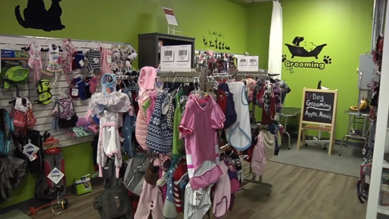 Maple Grove Pet Store Finds Resale Niche YouTube