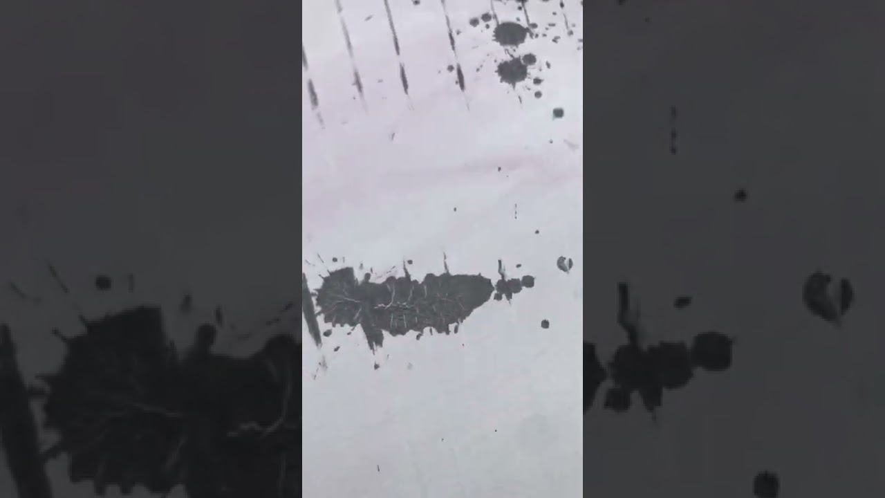 painting flyover/waiting for the mothership (original music)