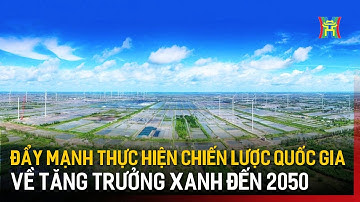 Đẩy mạnh thực hiện Chiến lược quốc gia về tăng trưởng xanh đến 2050 | Tin tức