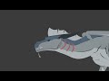 Albatross animation test