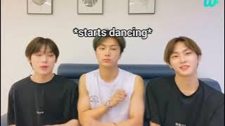 ENHYPEN Sunoo, Jay & Jungwon vibing to 