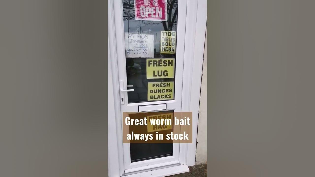 Quick Tackle Shop Review  Bill's Bait & Tackle, Dover #shorts