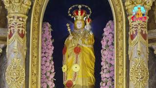 Download Lagu 🔴 Live 24 July 2025 @ Vailankanni Shrine Basilica MP3 Download Lagu 🔴 Live 24 July 2025 @ Vailankanni Shrine Basilica MP3