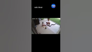 Het moment dat de harten van miljoenen mensen sneller deed kloppen #kabetv #shorts #shortsviral #...