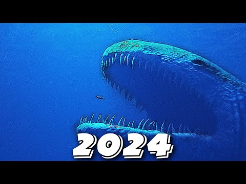 Evolution of Bloop
