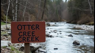 Levy County, #florida  #ottercreek  footage.  Looking for #suspicious  activity