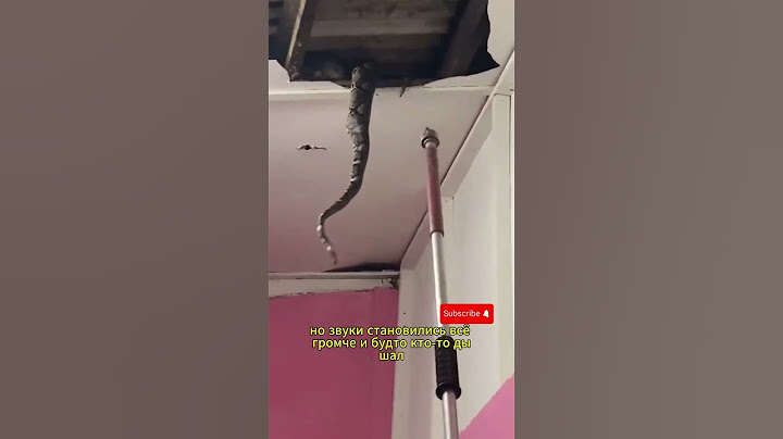 Они думали, что это утечка газа… Но в потолке жил монстр! 😱🐍