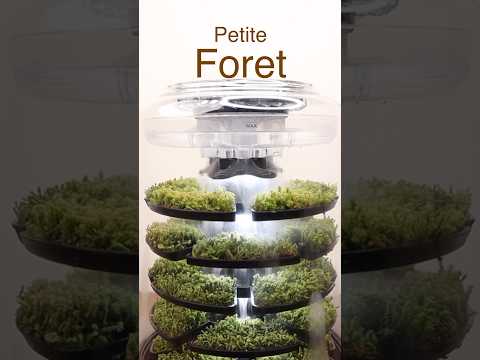 Unboxing the Petite
