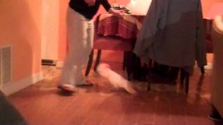 Cockatoo Attacks Woman