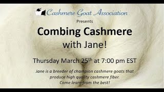 Combing Cashmere  with Jane