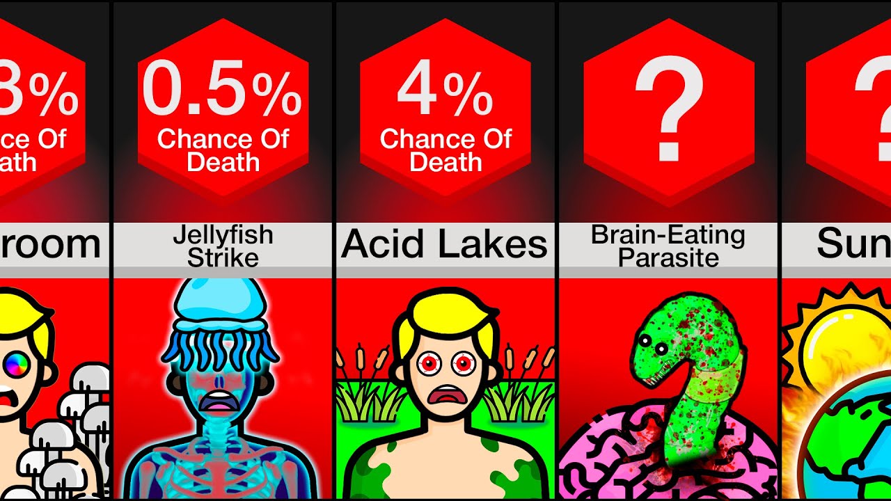 Comparison Dangerous Things In Nature YouTube Comparison Dangerous Things In Nature YouTube