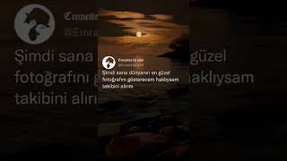 Tiktok Twitter Akımı