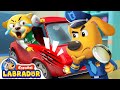 🔍Sheriff Labrador - No Conduzca de Forma Peligrosa 😨 | Dibujos Animados | BabyBus en Español