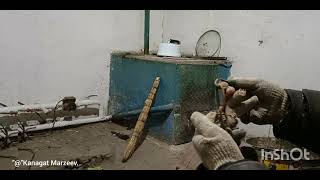 видео: Шынжыр жасау әдісі. #цеп#цеп#для#коров# картинка: Шынжыр жасау әдісі. #цеп#цеп#для#коров#