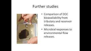 Can tributary flows improve dissolved organic carbon delivery to a regulated snowmelt river?