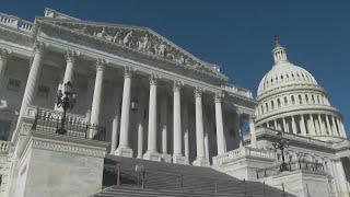Dozens of Senate Democrats Pushing for Tariff Refunds