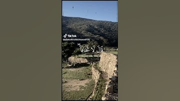 #اكسبلور #لايك قرآن كريم