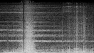 Last train for Neverland