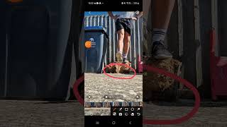 Drop Jump and RSI testing