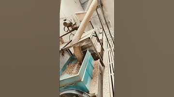 #peanut processing plants #trendig #elevator #screw #zelevator #plantmachinery