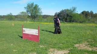 Saut de haie 13/04/13