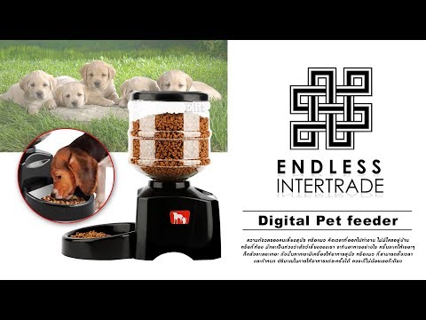 Elit ที่ให้อาหารสุนัข แมว แบบอัตโนมัติ ตั้งเวลาได้ ขนาดบรรจุ 5.5 ลิตร Digital Pet feeder