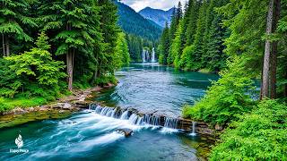 Restores The Nervous System 🌿 Relaxing music for mental healing & meditation