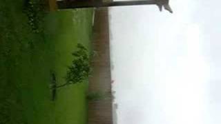 Elsa Tx Its Blowin # 1