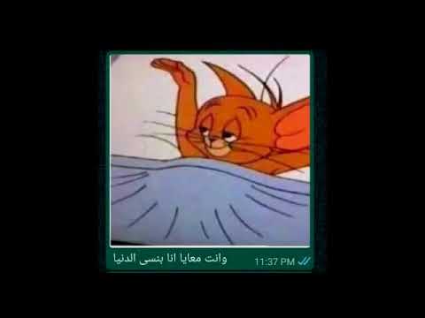 فى حاجه فيك معرفش ايه هيا على طريقه تووم وجيرى حالات واتس