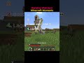 weird minecraft moments