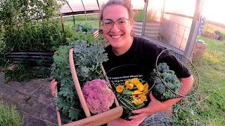 Morning Chores, Bountiful Harvest, New Fenced Area & Troubleshooting Freeze Dried Herbs