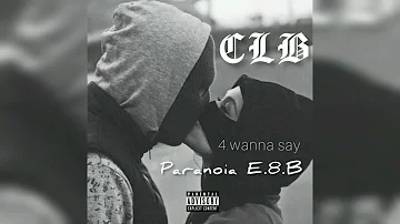 Paranoia E.8.B - Wanna say (Audio)