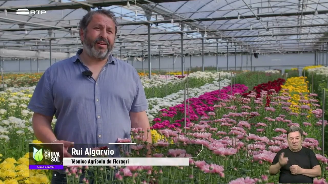 Produção de Flores no Montijo - Faça Chuva Faça Sol (Ep. 19) | RTP1
