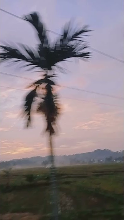 Mentahan story wa