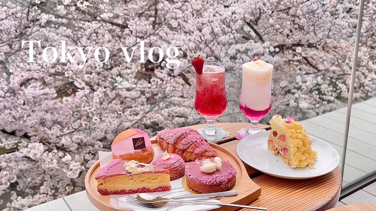 vlog】目黒川の桜満開🌸スタバの特等席でお花見 - YouTube