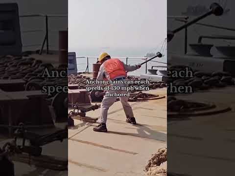 Interesting clips to