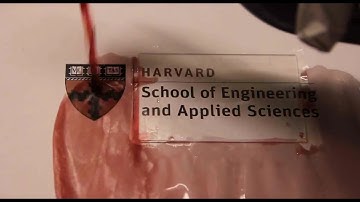 Super-slippery transparent materials | Harvard School of Engineering and Applied Sciences