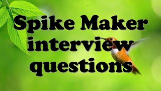 Spike Maker interview questions