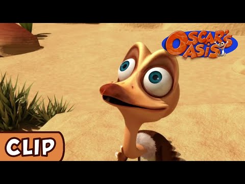 Picture of Oscar's Oasis  Oasis, Cartoon birds, Cartoon