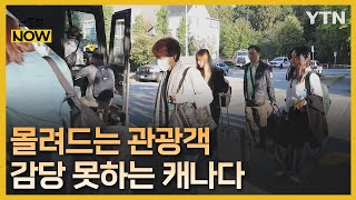 캐나다 입국제한 전면해제…관광 호황·일손은 부족 [글로벌NOW] / YTN korean